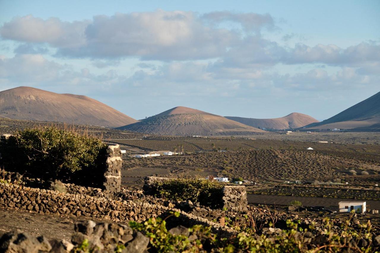 Ecofinca Aulaga Масдаче Экстерьер фото